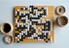 Insights from Go Strategy: Implications for AI and Self-Driving Technology
